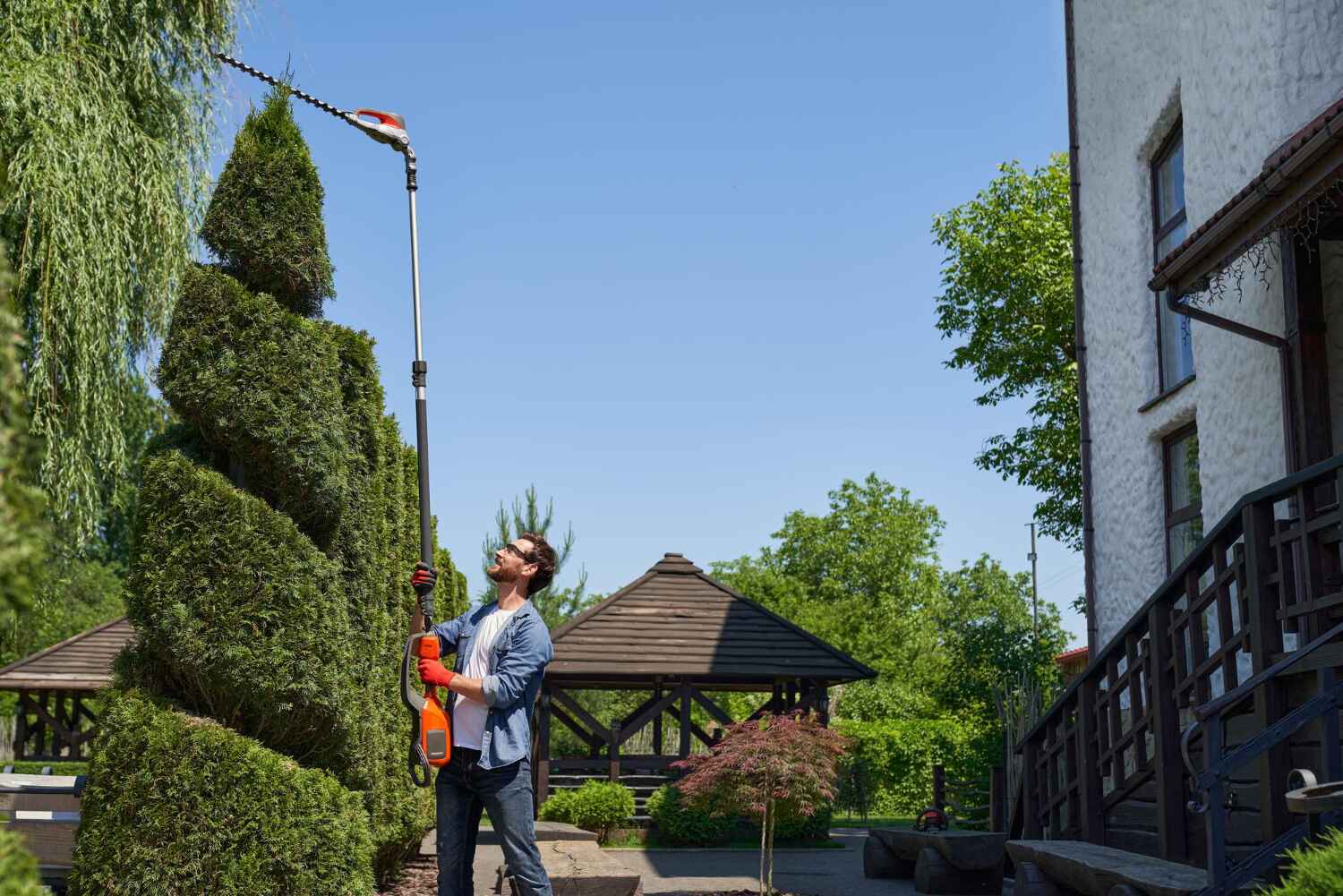 Best Tree Pruning Services  in Hibbing, MN